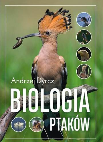 Biologia ptaków