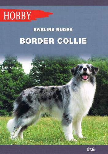 Border collie wyd. 2