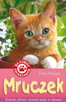 Mruczek kotek który został sam w domu