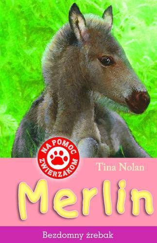 Merlin. Bezdomny źrebak. Na pomoc zwierzakom