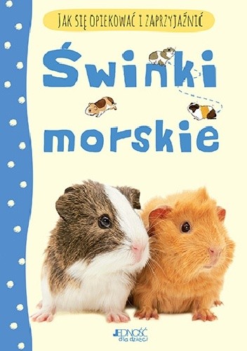 Świnki morskie. Jak się opiekować i zaprzyjaźnić