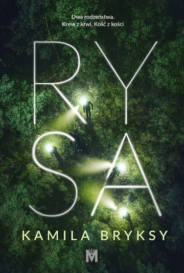 Rysa