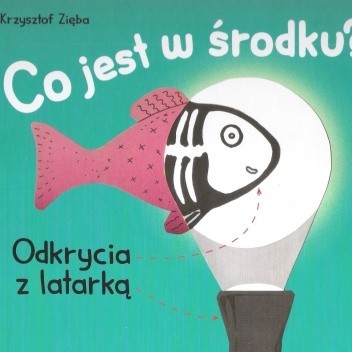 Co jest w środku? Odkrycia z latarką.