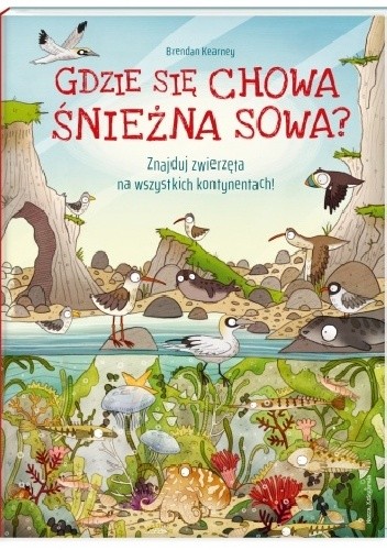 Gdzie się chowa śnieżna sowa?