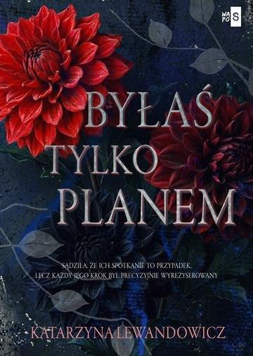 Okładka: Byłaś tylko planem