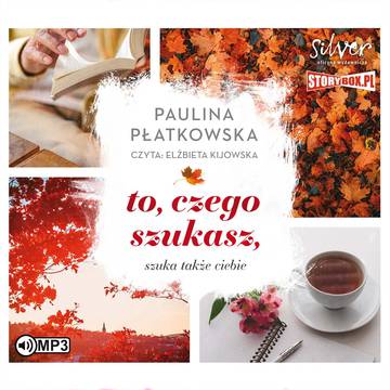 CD MP3 To, czego szukasz, szuka także ciebie