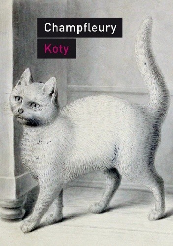 Koty. Historia, zwyczaje, obserwacje anegdoty