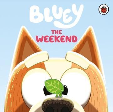 The Weekend. Bluey
