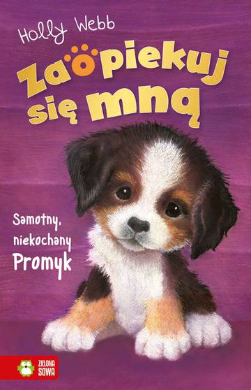 Samotny, niekochany Promyk, Zaopiekuj się mną