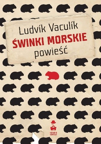 Świnki morskie