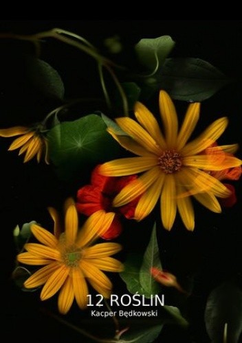 12 Roślin