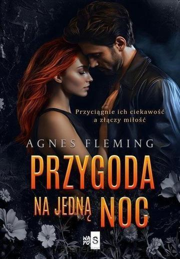 Okładka: Przygoda na jedną noc