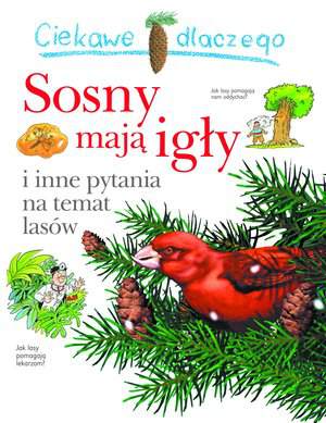 Ciekawe dlaczego sosny Mają igły