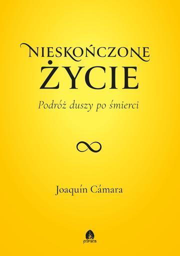 Nieskończone życie. Podróż duszy po śmierci. Życie po życiu. Tom 1