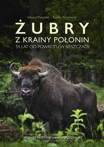 Żubry z krainy połonin. 55 lat od powrotu w Bieszczady