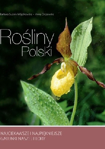 Rośliny Polski