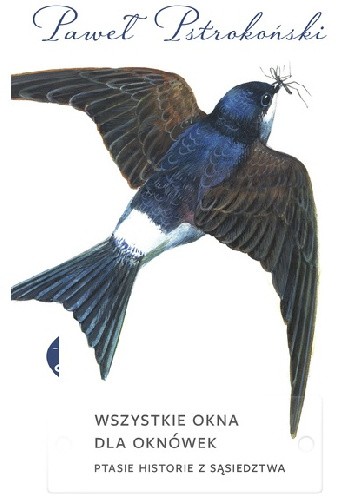 Wszystkie okna dla oknówek. Ptasie historie z sąsiedztwa