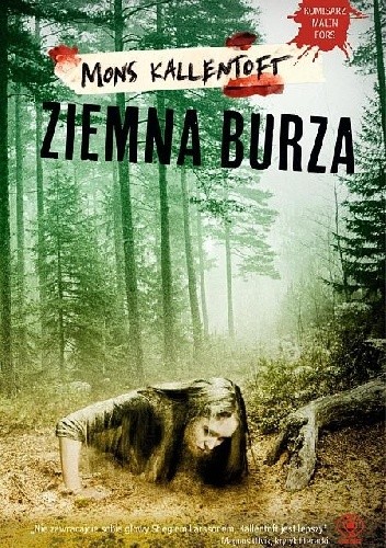 Ziemna burza