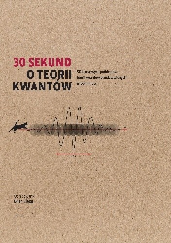 30 sekund o teorii kwantów