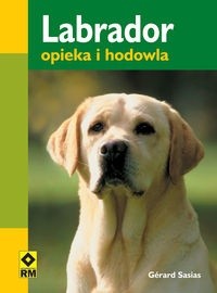 Labrador. Opieka i hodowla
