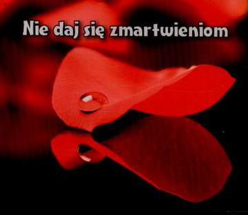 Nie daj się zmartwieniom perełki