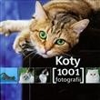 Koty. 1001 fotografii