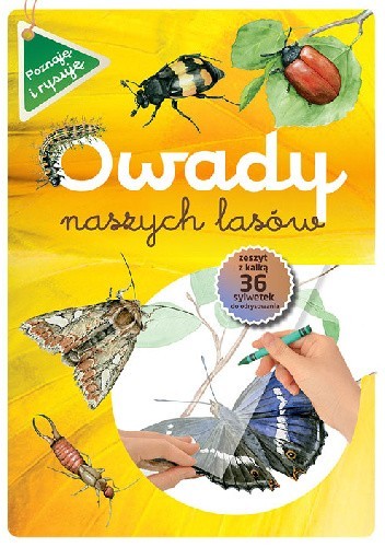 Owady naszych lasów (zeszyt w kalką)