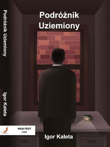 Okładka: Podróżnik. Podróżnik Uziemiony. Tom 2