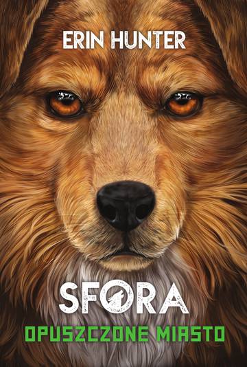 Opuszczone miasto. Sfora. Tom 1 wyd. 2024