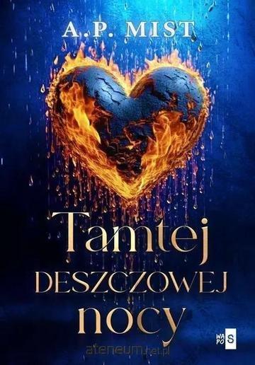 Okładka: Tamtej deszczowej nocy