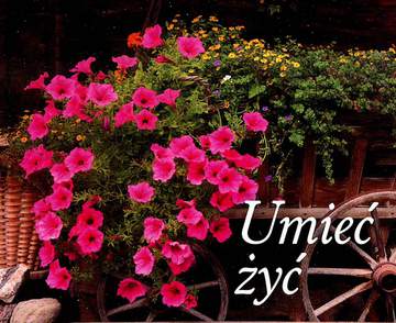 Umieć żyć perełki