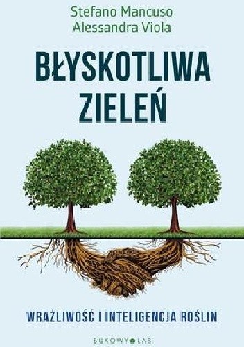 Błyskotliwa zieleń