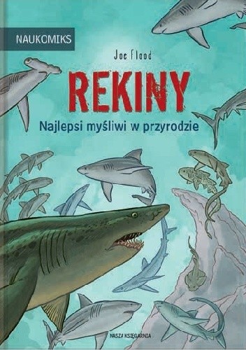 Rekiny ? najlepsi myśliwi w przyrodzie