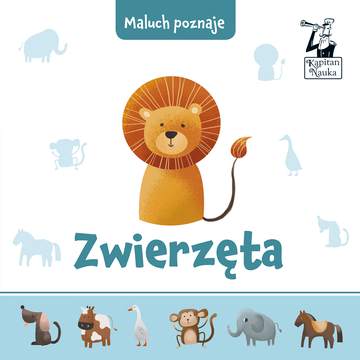 Maluch poznaje zwierzęta
