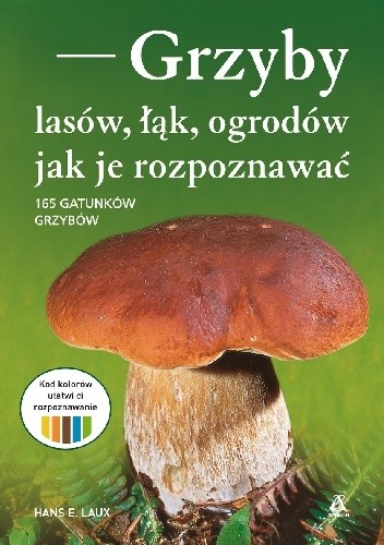 Grzyby lasów, łąk, ogrodów - jak je rozpoznawać