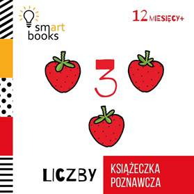 Książeczka poznawcza liczby 12 m+