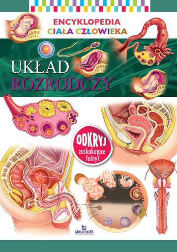 Układ rozrodczy encyklopedia ciała człowieka