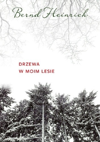 Drzewa w moim lesie