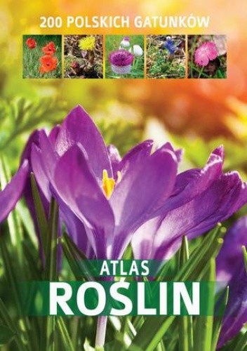 Atlas roślin. 200 polskich gatunków