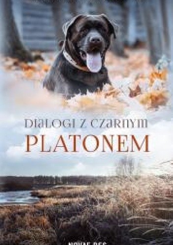 Dialogi z czarnym Platonem