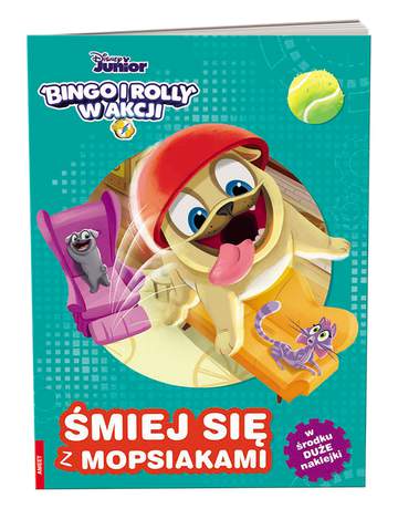 Bingo i rolly w akcji śmiej się z mopsiakami