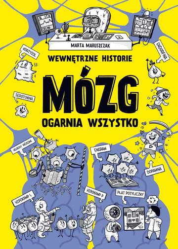 Wewnętrzne historie. Mózg ogarnia wszystko