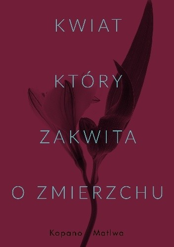 Kwiat, który zakwita o zmierzchu