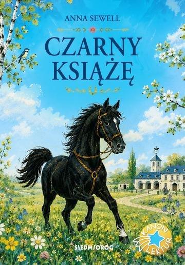 Okładka: Czarny Książę