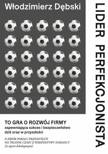 Lider perfekcjonista