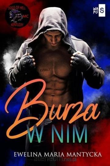 Okładka: Burza w nim