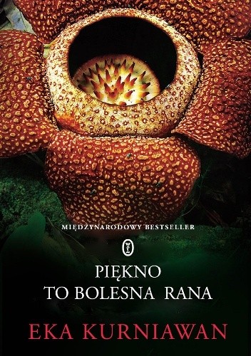 Piękno to bolesna rana