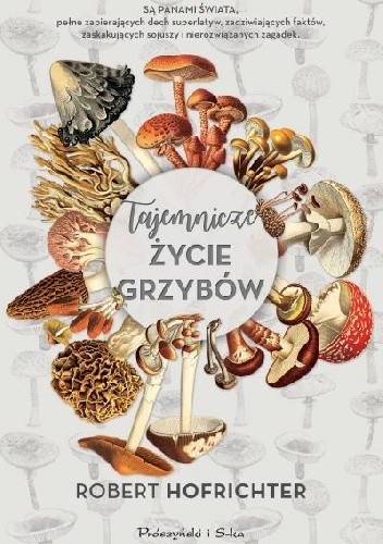 Tajemnicze życie grzybów