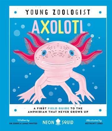 Okładka: Axolotl. Young Zoologist
