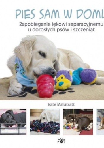 Pies sam w domu. Zapobieganie lękowi separacyjnemu u dorosłych psów i szczeniąt